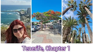 Paradisul exista? Bine ati venit in Tenerife, Insulele Canare