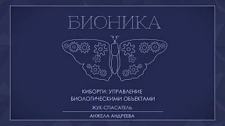 Лекция 3.1 | Жуки — спасатели | Анжела Андреева | Лекториум