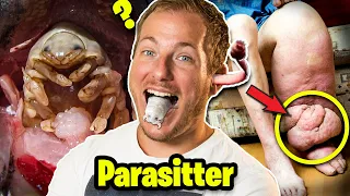 10 onde parasitter - og nogle lever af dig! 🤮