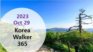 [4K] Korea Walker 365 "Dasan New City Central Park Area Walking Route"in Korea