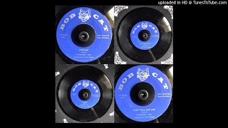 60's Pop w/ FUZZ 45 PITTSBURGH PHIL Don't Tell Lies / Vietnam BOB CAT