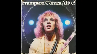 Peter Frampton on Vinyl   Frampton Comes Alive