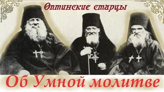 Как действовать против всякого зла? Духовные уроки и мудрые наставления Оптинских старцев