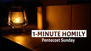 1 MIN HOMILY | Pentecost Sunday