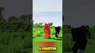 ČESKÝ MINECRAFT SONG🤩🎵