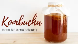 ALLES über KOMBUCHA I russisches REZEPT zum SELBERMACHEN I Anleitung & Erklärung