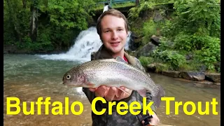 Trout Fishing Tennessee's Buffalo Creek