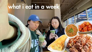 🍊chill what I eat in a week wfh edition | 🍜 🥘 *korean + realistic