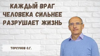 Торсунов О.Г.  Каждый враг человека сильнее разрушает жизнь