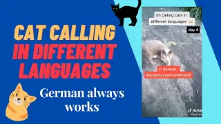 STARDENBURDENHARDENBART Cat Calling in different languages (German always works)