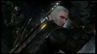 The Witcher 3 Оборона Каэр Морхена