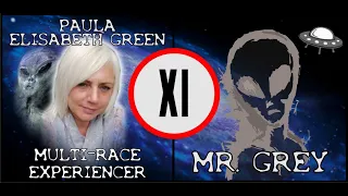 Paula Elisabeth Green: Multi-Race Experiencer, Greys, Tans, Reptilians, UFOs, Missing Time and More!