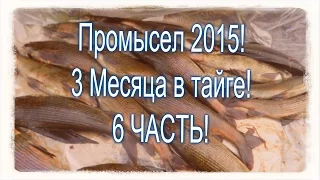 6 Часть . Промысел в тайге 2015! Рыбалка и охота.