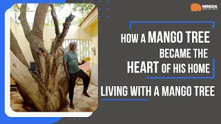 Living With A Mango Tree | Unique House