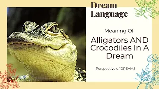 Meaning Of Alligator & Crocodile  In Dreams | Biblical & Spiritual Meaning