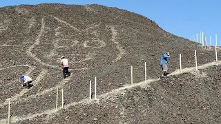 Giant cat drawing discovered on a hillside in Peru