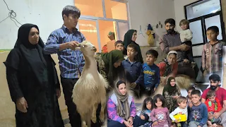 Heartwarming Act of Kindness: A Widow's Help and a Goat Gift to Mary from Amin