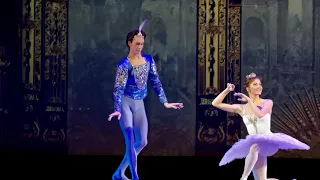 Ksenia Zhiganshina and Klim Efimov in ballet Sleeping Beauty Kremlin Gala