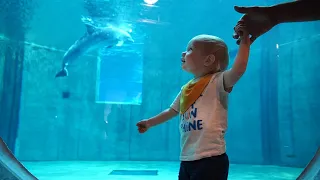 Meeting Dolphins At The Clearwater Marine Aquarium & Checking Into Winter The Dolphin's Beach Club!