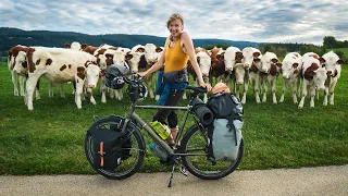 Holy Cow, this is Crazy! | Bicycle Touring France
