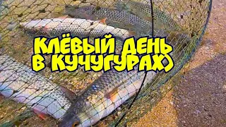 Рыбалка в Кучугурах Погода лучше чем в Сочи сезон 2021