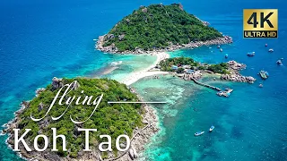 Koh Tao Island - Drone 4K - Thailand / Koh Samui / Koh Phangan