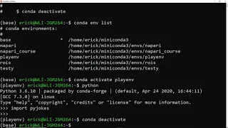 Master the basics of Conda environments in Python