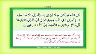 Para 4 - Juz 4 Lan Tana Lu HD Quran Urdu Hindi Translation