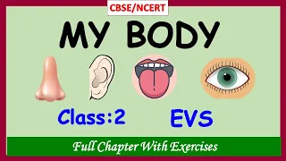 My Body | Class 2 EVS | Body parts | Parts of the Body | EVS grade 2 | CBSE / NCERT | with Exercises