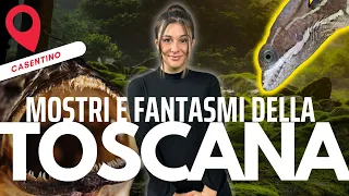 Nel cuore della Toscana: miti e leggende del Casentino