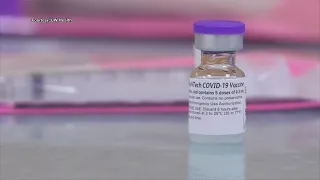 Differences between Moderna and Pfizer's COVID-19 vaccines