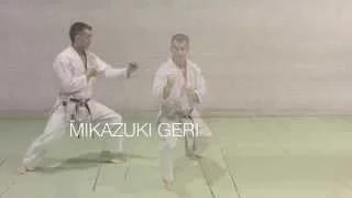 Programa C. Verde Karate Do Shotokai.