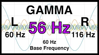 56 Hz Pure BINAURAL Beat  🟪 GAMMA Waves [60Hz Base Frequency]  🟪 Ondas Gamma 100%