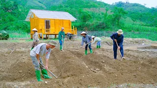 SANG VY and FAMILY start a beautiful new farm idea: Livestock, Chicken, Duck, Fish, Vegetables