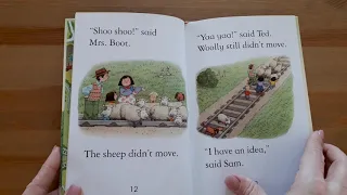 Wolly Stops the Train - Usborne