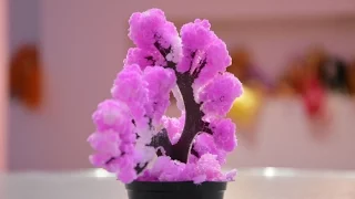 Дерево сакура из кристаллов # Sakura tree of magic crystals