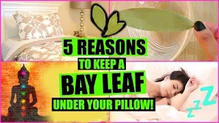 5 REASONS TO SLEEP WITH A BAY LEAF UNDER YOUR PILLOW! │ MANIFEST WISHES WITH BAY LEAVES