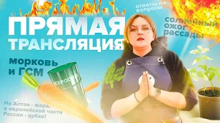 ПРЯМАЯ ТРАНСЛЯЦИЯ. 25.05.22 отвечаем на вопросы