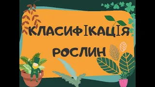 Класифікація рослин (Інфасотка)