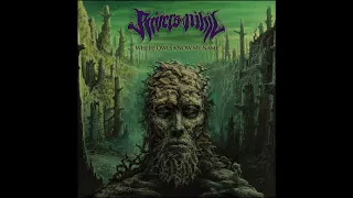 Rivers Of Nihil - Where Owls Know My Name (2018) HQ