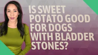 Is Sweet Potato good for dogs with bladder stones?