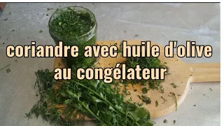 Comment conserver la Coriandre au congélateur