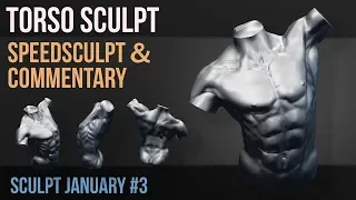 Torso | Sculpt Jan 2019 | no 3