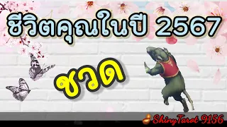 ปีชวด🐁ชีวิตคุณในปี 2567🪴🪔‎@ShinyTarot9156 