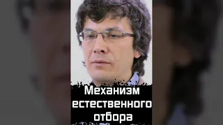 Механизм Естественного Отбора | Александр Марков