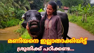 മണിയനെ ഇല്ലാതാക്കിയിട്ട് ശ്രുതിക്ക് പഠിക്കണ്ട...