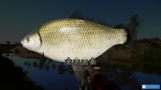 Russian Fishing 4 | Trophy Buffalo | Ahktuba River