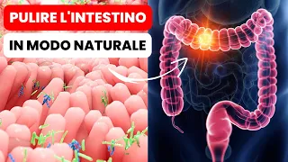 Come Pulire l'INTESTINO in modo Naturale | Salute e Benessere per Vivere Sani