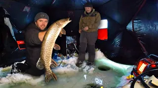 [E3] Ice Fishing a SECRET Alaskan Lake FULL of Pike *Catch Clean Cook* | ALASKA PART 3