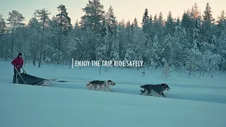 Discover Lapland: Husky Sledding Instructions